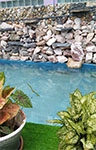 pond